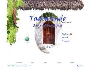 Tamarindo Cozumel Bed and Breakfast