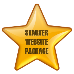 Starter Web Site, or Web Presence